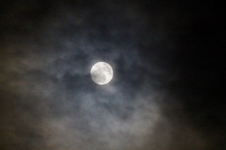 IMG_2169